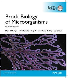Biology Of Microorganisms 14th Edition Pdf
